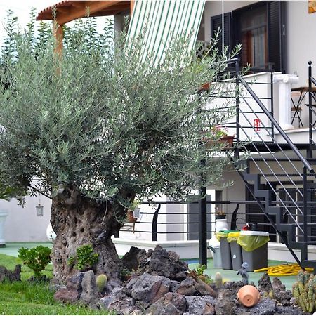 Pompei Gryllus Bed and Breakfast Buitenkant foto