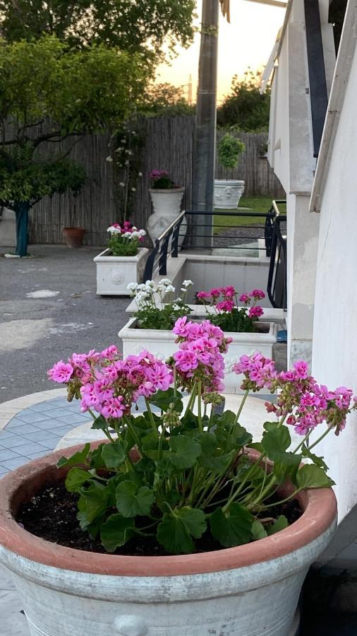 Pompei Gryllus Bed and Breakfast Buitenkant foto