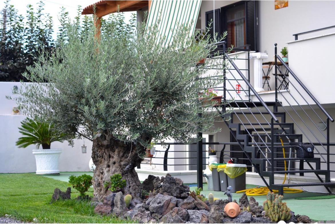 Pompei Gryllus Bed and Breakfast Buitenkant foto
